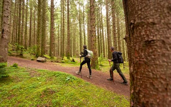 Leaving Fort Augustus on forest trails