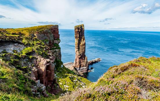 Watch nesting seabirds from clifftop paths