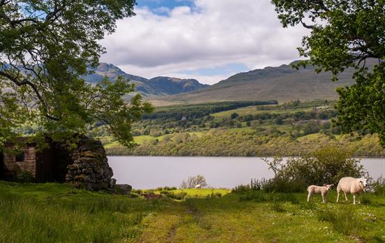 Loch Tay