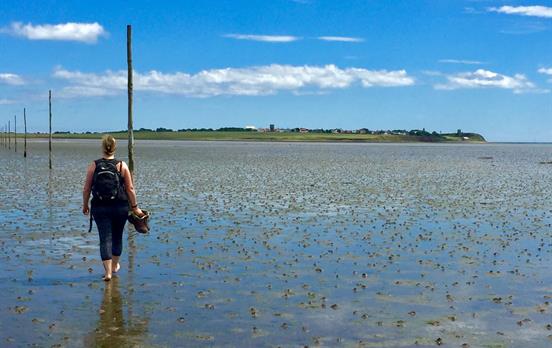 Crossing to Lindisfarne