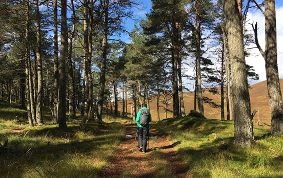 Hiking through the forest near Blair Castle