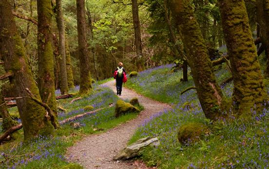 West Highland Way in spring time