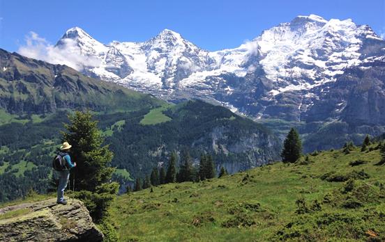 Walker Admiring the view