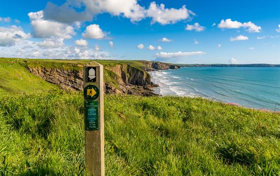 Walk along the cliffs of the Pembrokeshire Coast