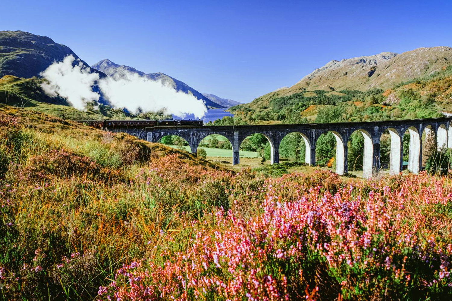 One of the greatest railway journeys of the world - The Jacobite Train