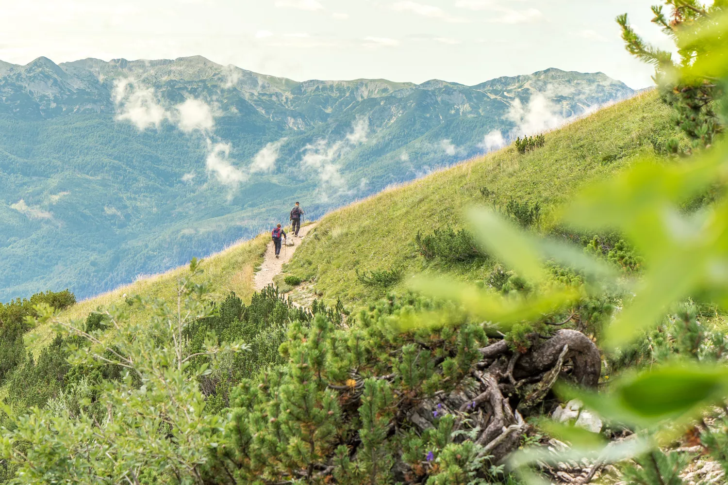 Sustainable Travel