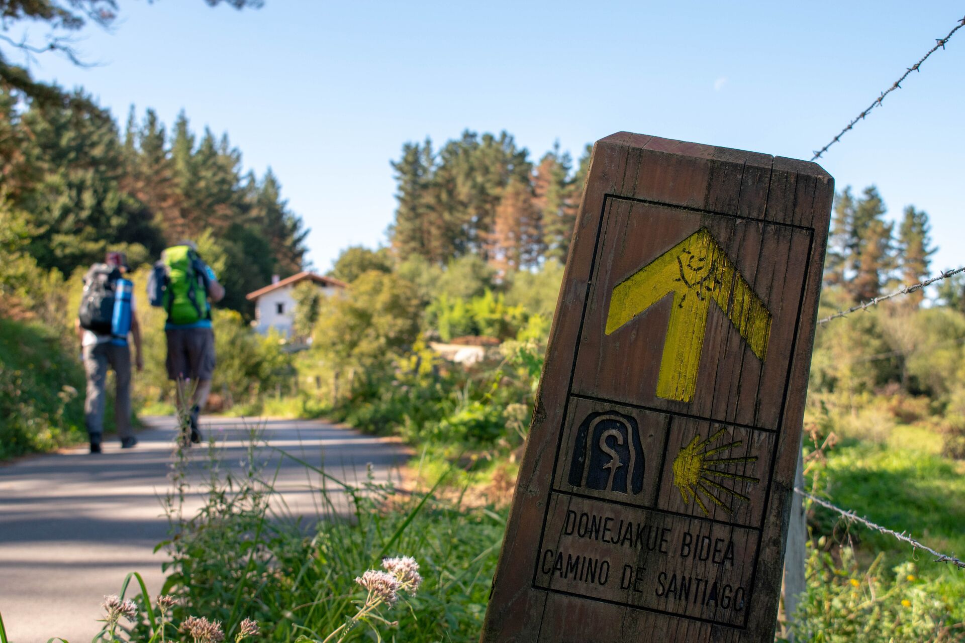 Camino del Norte oder Camino Primitivo | AbenteuerWege