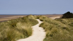 662-shutterstock-norfolk-dune-path