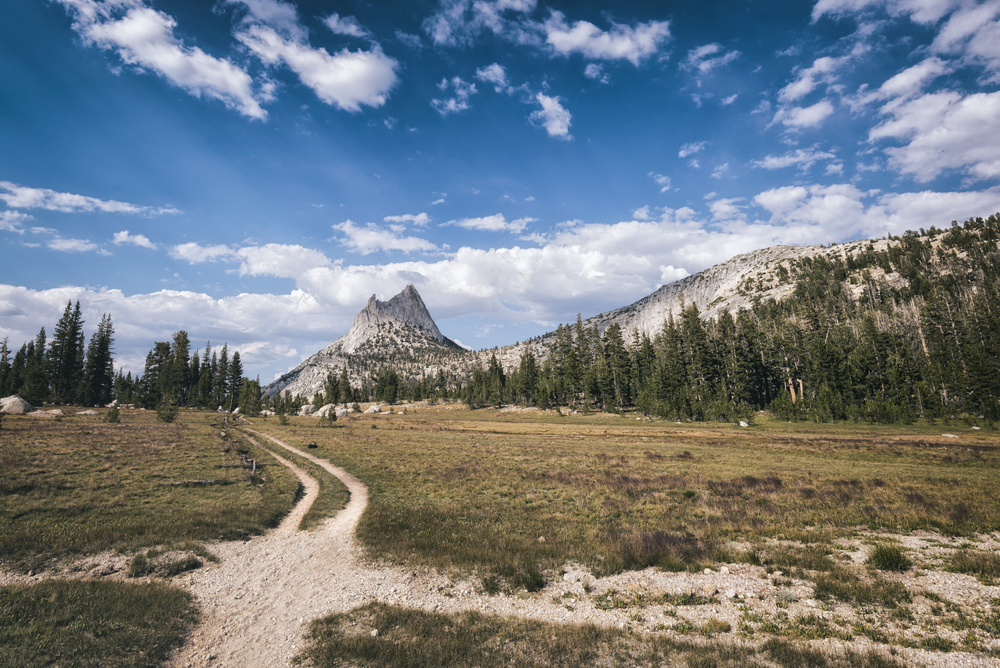 12 things to know about John Muir