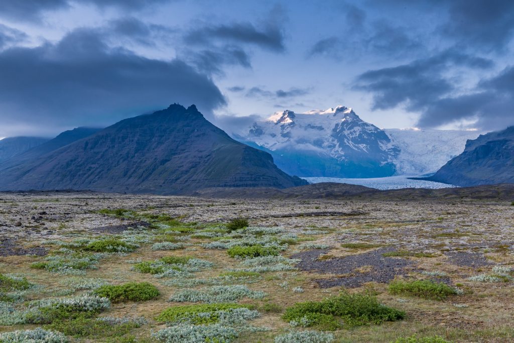 Walk of the Week: Around Iceland
