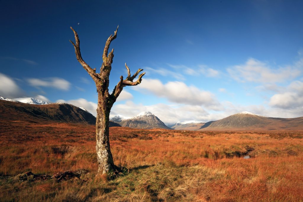 The Wild and rugged landscape of Rannoch Moor. 
