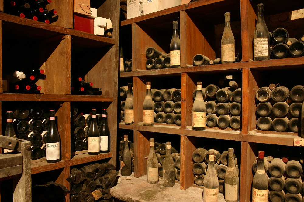 Try Barolo wine on the Barolo Vineyard Trail from Macs Adventure