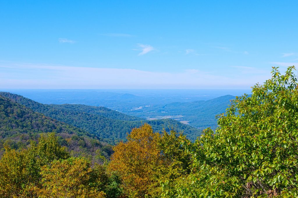 Trees fade into the distance in Frozen Head State Park