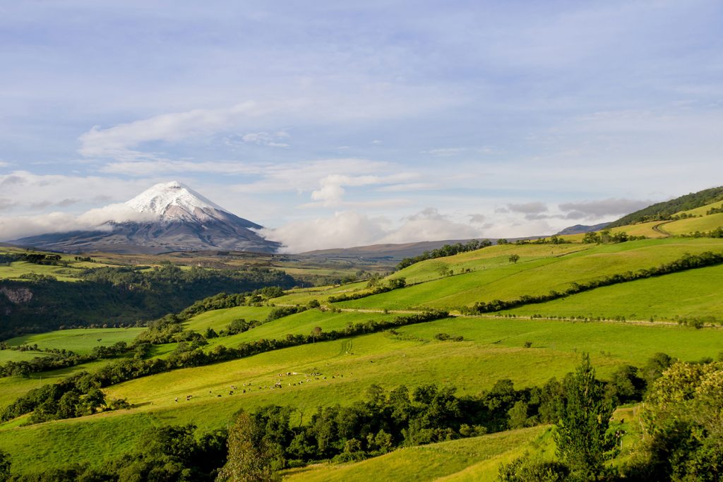 Cotopaxi Landscapes