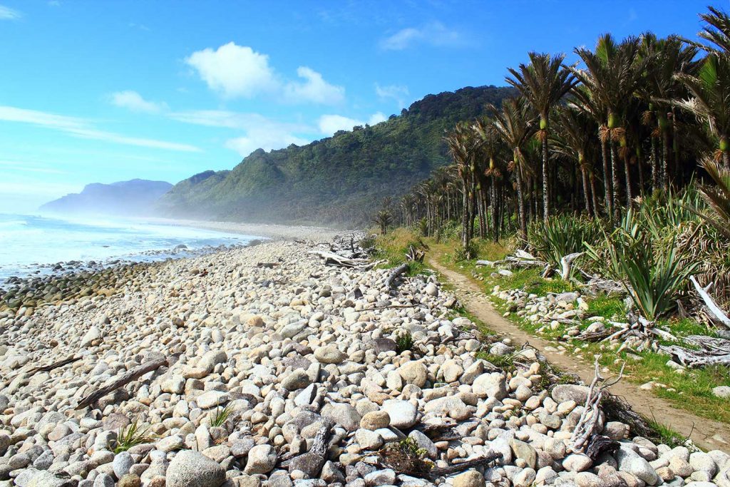 Rocky coastlines of the Heaphy Track
