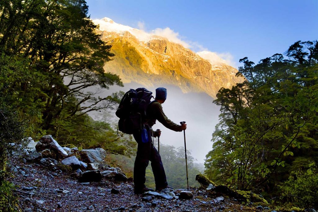 Milford track hiker