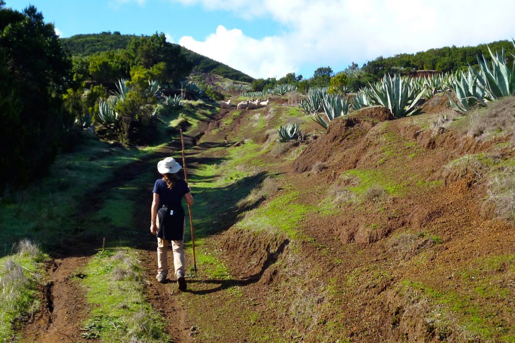 Ruta del Agua El Hierro