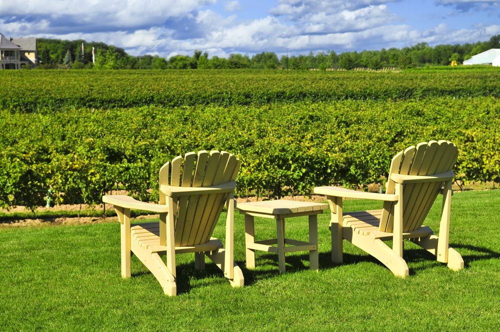 The Best Wineries near Niagara Falls Macs Adventure US Blog
