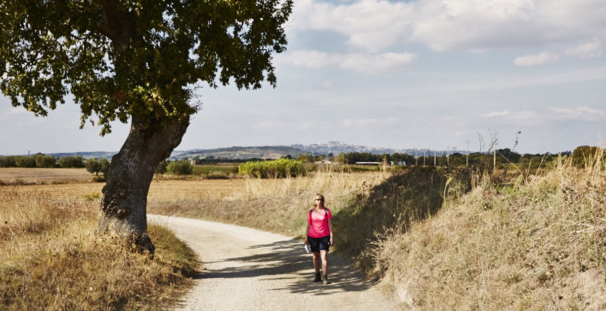 How to stay on track on the Via Francigena