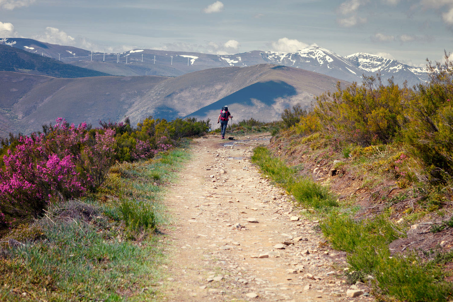 Der traditionelle Jakobsweg in Spanien | AbenteuerWege Reisen