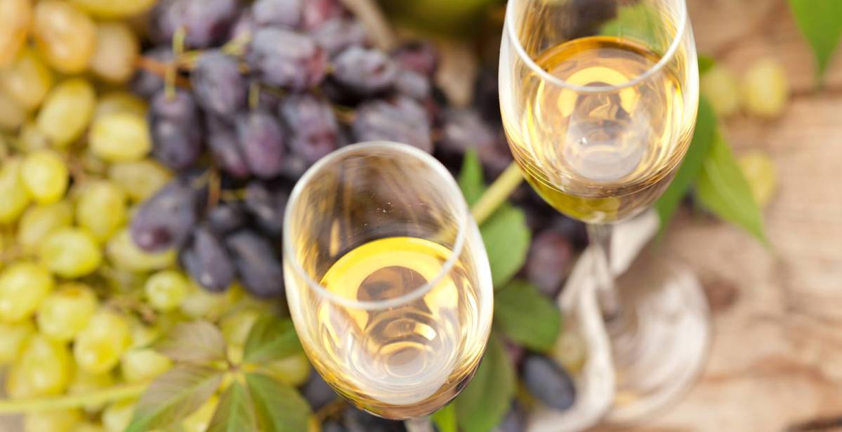 Regional wines of the Camino Invierno