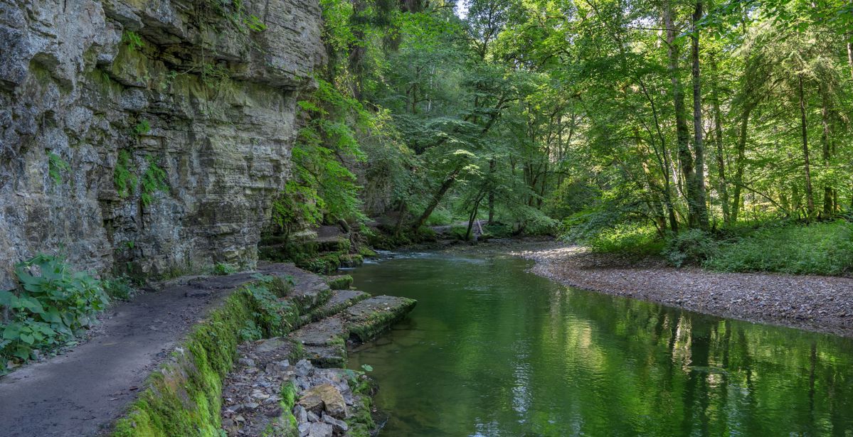 Adventure of the Week: The Black Forest Gorge Trail