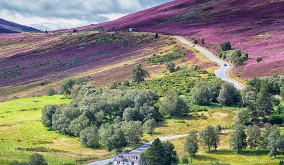 Why Embark on a Discovery Tour in Scotland?