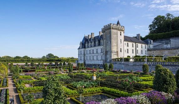 Famous Chateaux of the Loire - Which One Should you Visit?