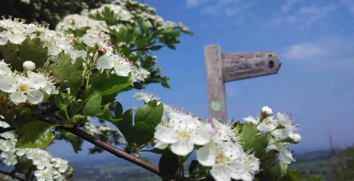How many days to walk the Cotswold Way?