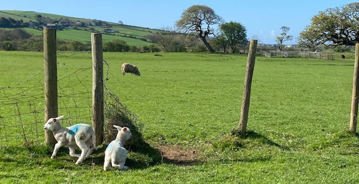 Riding Solo on the Coast to Coast West