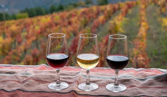 Portuguese Cuisine - Bom apetite!