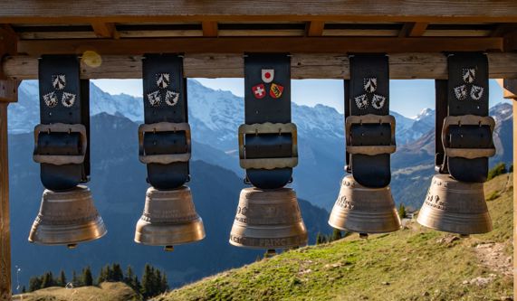 Why Choose Macs Adventure to book your Walking Holiday in Switzerland?