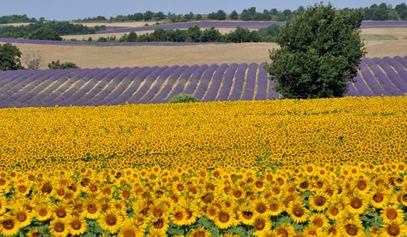 When is the Best Time to Visit France?