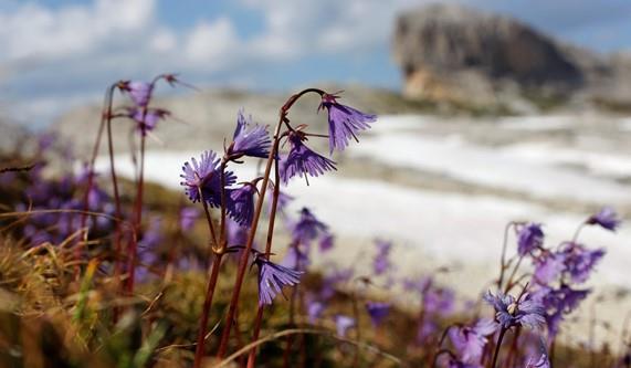 Which adventure is right for me?