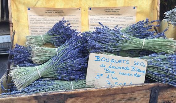 Why Book your Provence Walking Holiday with Macs Adventure?