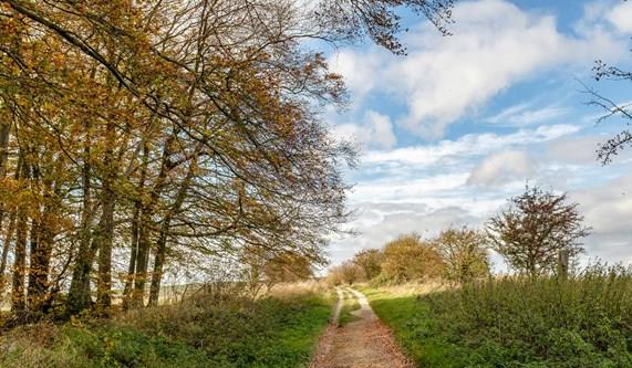 The Ridgeway's Hidden Gems