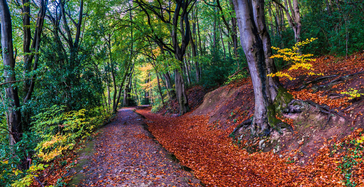 What you need to know about the Offa's Dyke Path