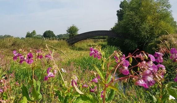 Why Book your Thames Path Walking Holiday with Macs Adventure?