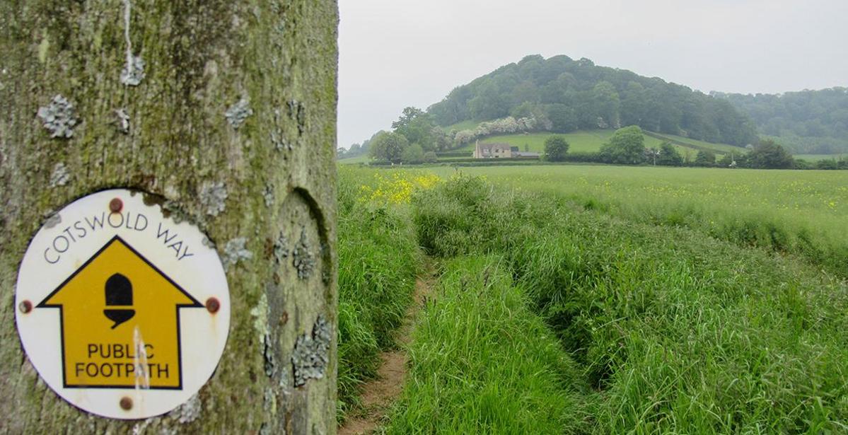 How do I navigate the Cotswold Way?