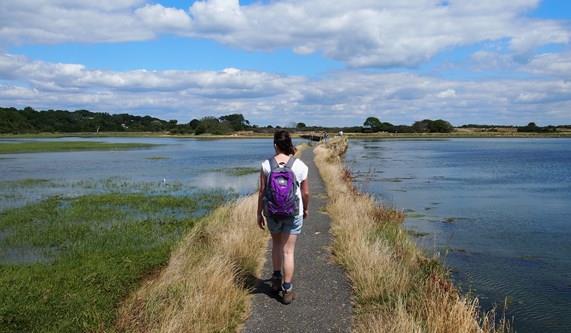 5 Things You Didn't Know