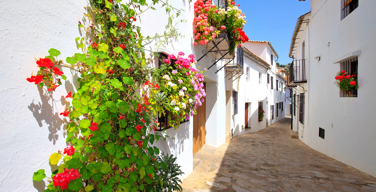 8 Postcards from the Pueblos Blancos!