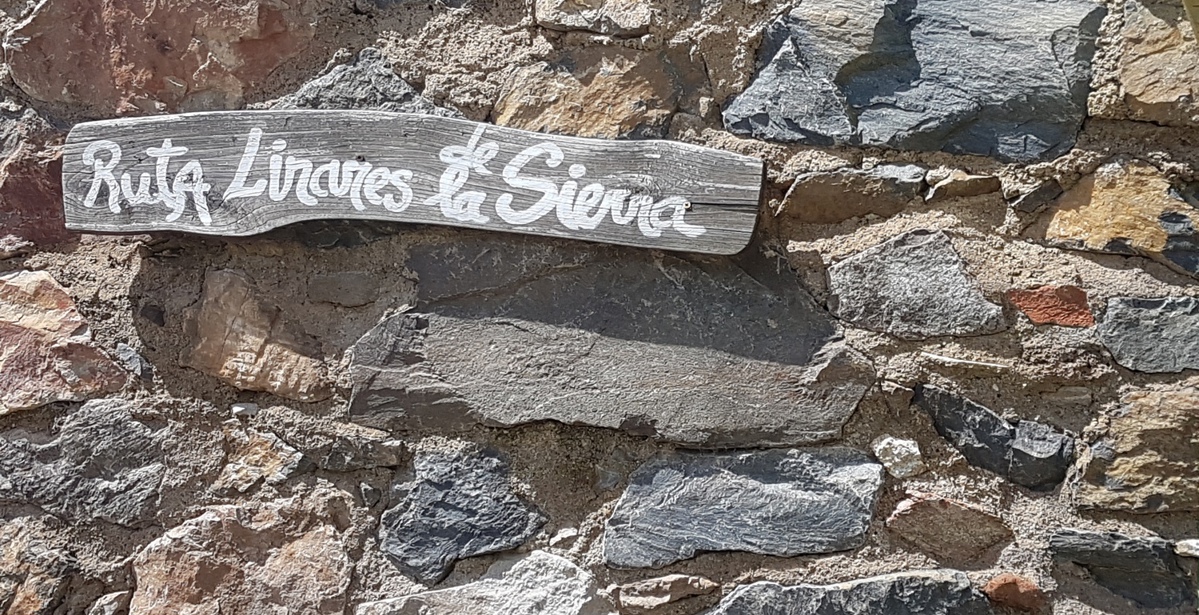 5 reasons I loved the Sierra de Aracena! 