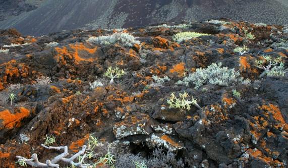 The volcanic landscapes of the Canary Islands