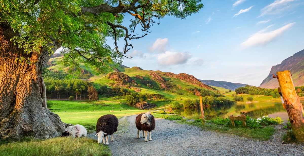 Walk of the Week: Dales Way, England