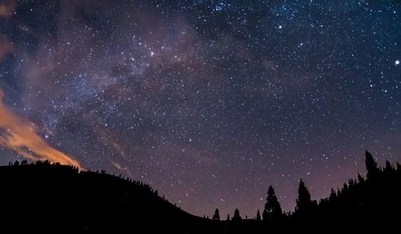 10 Fascinating Facts about the Canary Islands