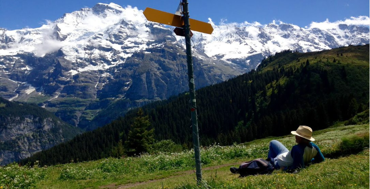 Which Walking Holiday in the Alps is for you?