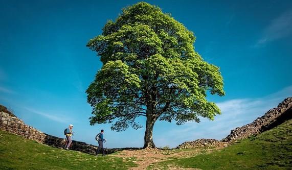 Top Tips for Hadrian's Wall Path