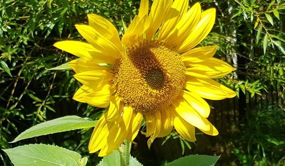 When is the Best Time to Visit France?