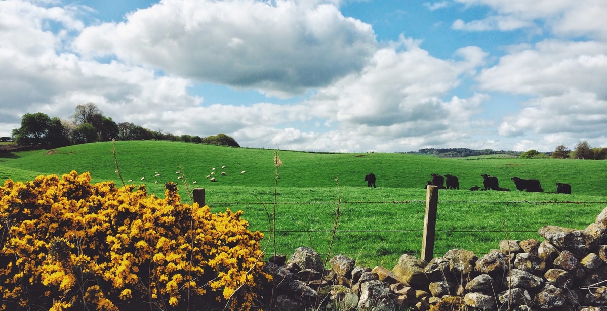 St Cuthbert’s Way - Time and tide waits for no man….