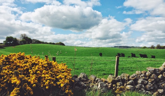 Why book your Northumberland Walking Holiday with Macs Adventure?